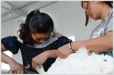 养殖长毛兔效益分析 | 动物饲养方法