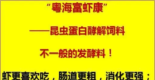 冬棚养殖南美白对虾需要加强这几点，你知道吗？