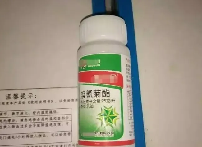 惨痛！蟹苗刚下塘就出现暴塘大量死亡的情况，到底是为何？