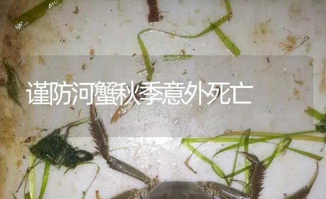 谨防河蟹秋季意外死亡 | 淡水养殖