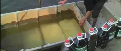 影响海鲈鱼养殖户标苗成数的几个问题和处理思路