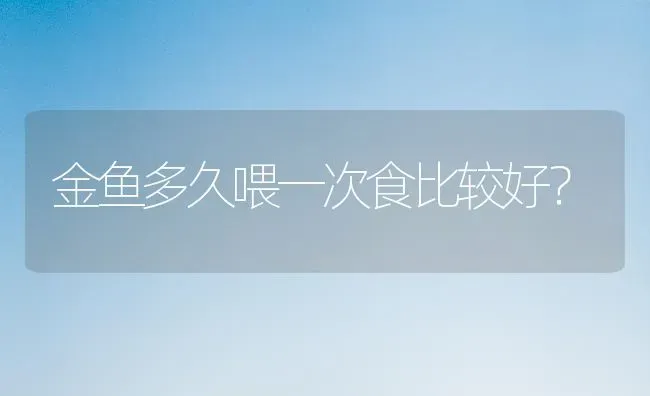 金鱼多久喂一次食比较好？ | 淡水养殖