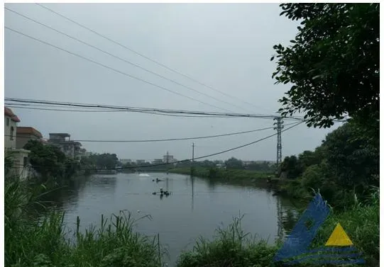 “氧速保”处理小虾苗体表“挂脏”一例