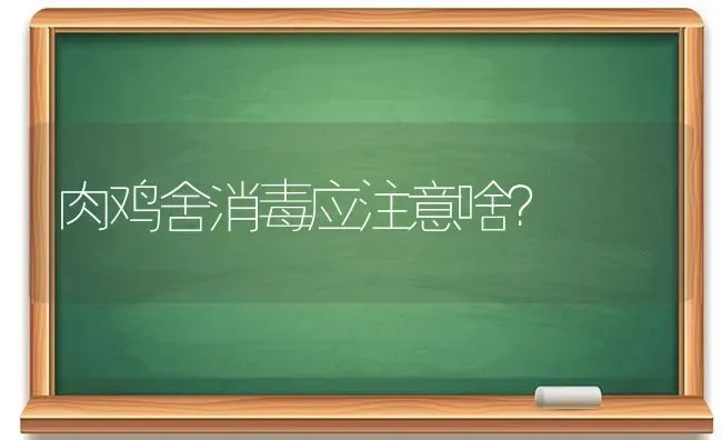 肉鸡舍消毒应注意啥？ | 家禽养殖