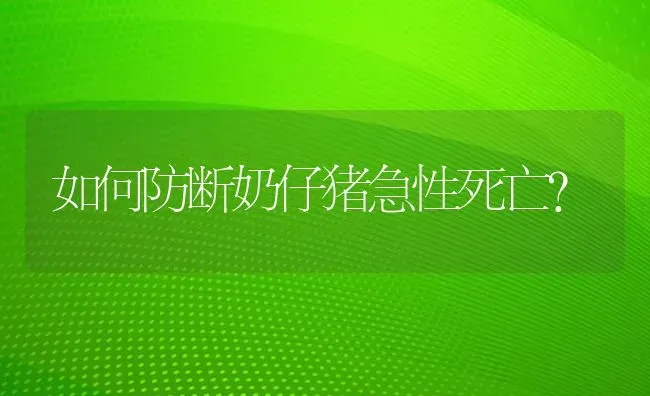 如何防断奶仔猪急性死亡？ | 家畜养殖