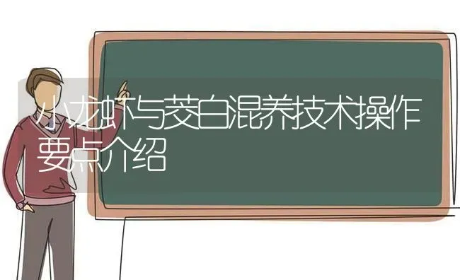 小龙虾与茭白混养技术操作要点介绍 | 动物养殖百科