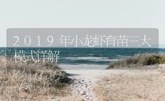 2019年小龙虾育苗三大模式详解 | 海水养殖