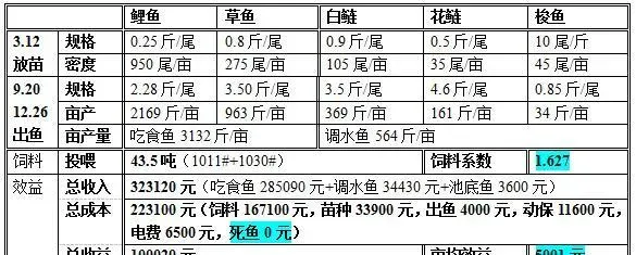 山东东营养鱼户董方阶：老塘焕发新生机，亩赚五千没问题