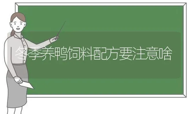 怎样使母鹅不抱窝、多产蛋 | 家禽养殖