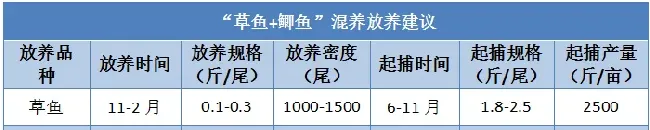 明年的草鱼要这样养：“草鱼+鲫鱼”混养模式