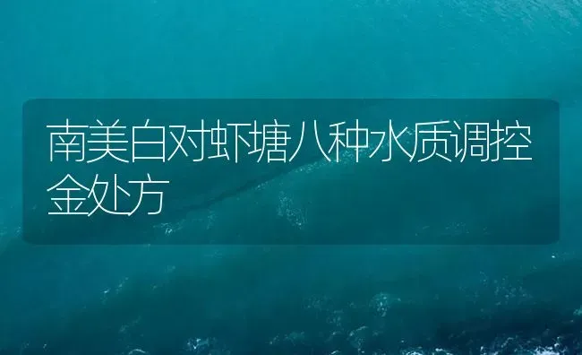 南美白对虾塘八种水质调控金处方 | 海水养殖