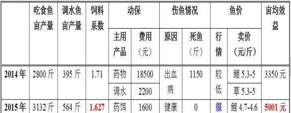 山东东营养鱼户董方阶：老塘焕发新生机，亩赚五千没问题