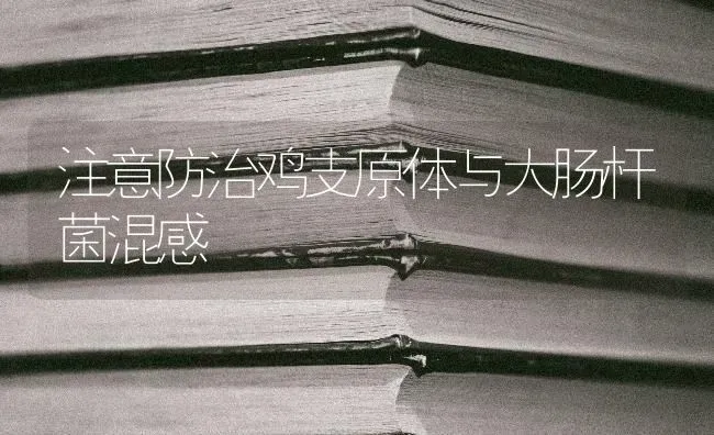 注意防治鸡支原体与大肠杆菌混感 | 家禽养殖