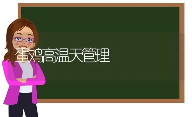 蛋鸡高温天管理 | 家禽养殖