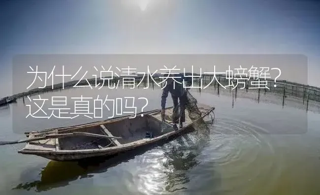 为什么说清水养出大螃蟹？这是真的吗？ | 淡水养殖