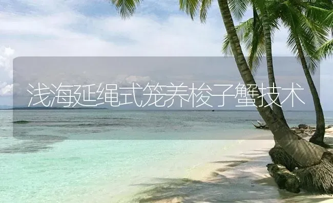 浅海延绳式笼养梭子蟹技术 | 海水养殖