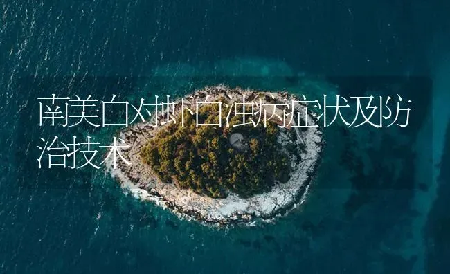 南美白对虾白浊病症状及防治技术 | 海水养殖