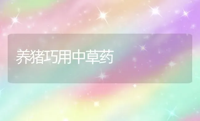 养猪巧用中草药 | 养殖病虫害防治
