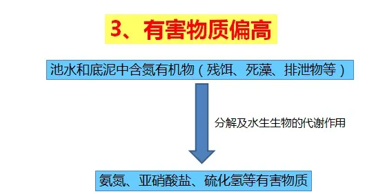 冬棚养殖南美白对虾需要加强这几点，你知道吗？