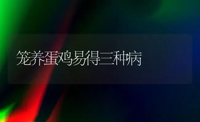 笼养蛋鸡易得三种病 | 家禽养殖