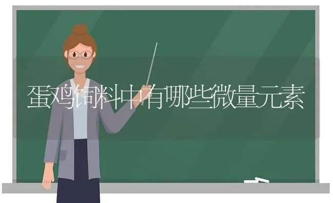 蛋鸡饲料中有哪些微量元素 | 家禽养殖