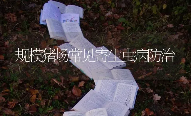 规模猪场常见寄生虫病防治 | 家畜养殖