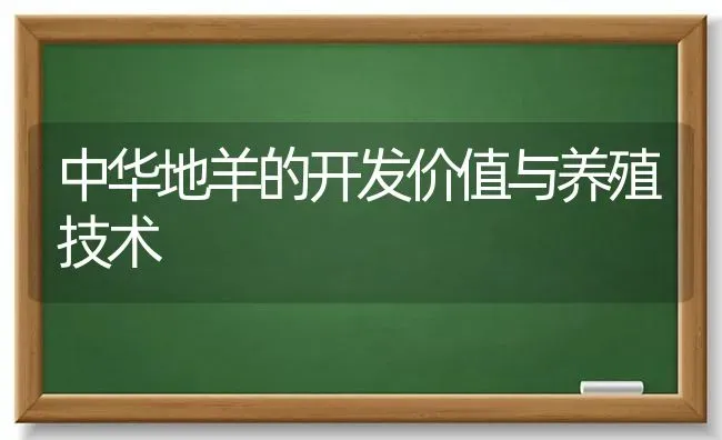中华地羊的开发价值与养殖技术 | 家畜养殖