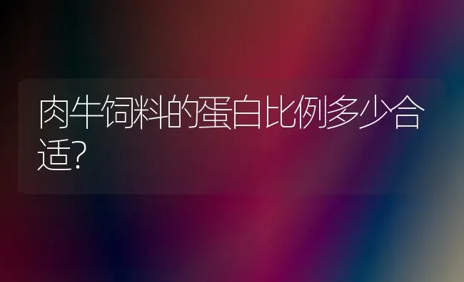 肉牛饲料的蛋白比例多少合适？ | 动物养殖饲料