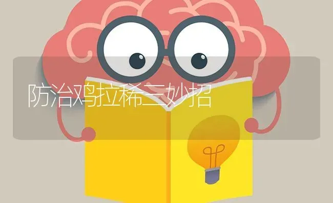 防治鸡拉稀三妙招 | 家禽养殖