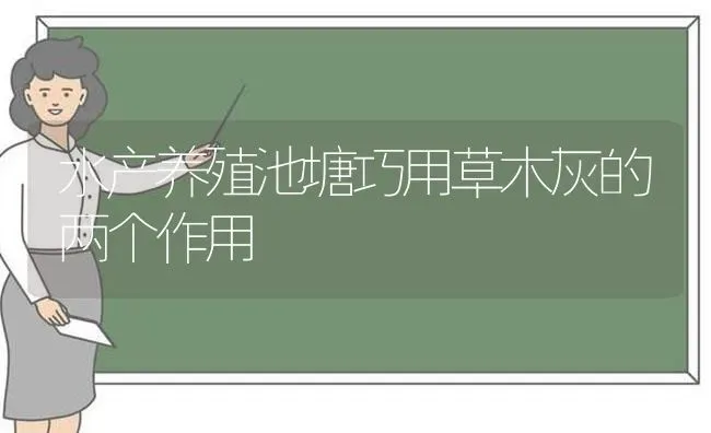 水产养殖池塘巧用草木灰的两个作用 | 动物养殖百科