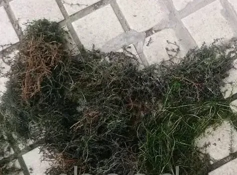 水产养殖户正确认识底改才能改好底