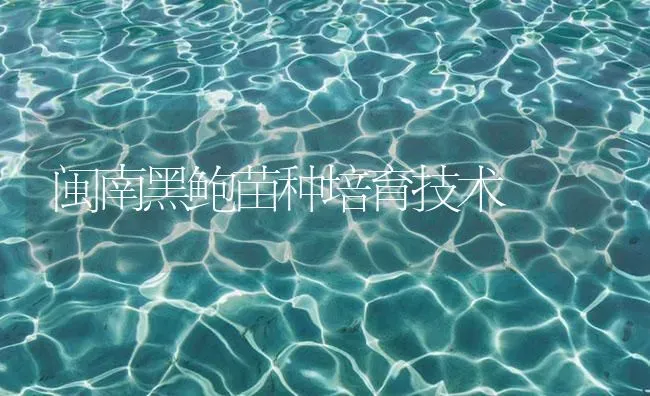 闽南黑鲍苗种培育技术 | 海水养殖