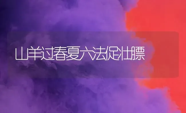 山羊过春夏六法促壮膘 | 家畜养殖