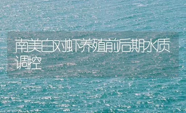 南美白对虾养殖前后期水质调控 | 海水养殖