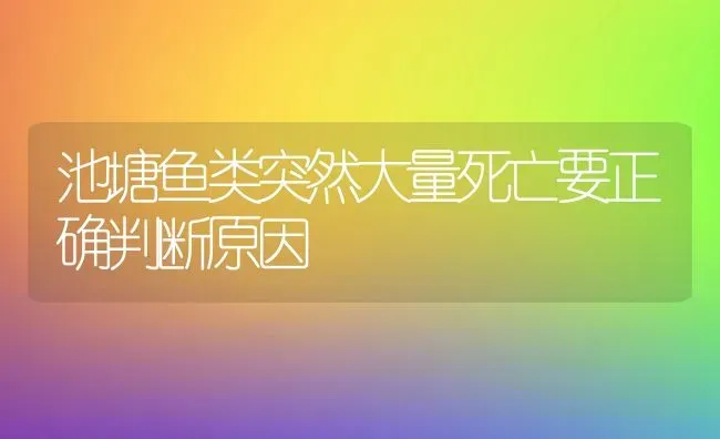 池塘鱼类突然大量死亡要正确判断原因 | 淡水养殖