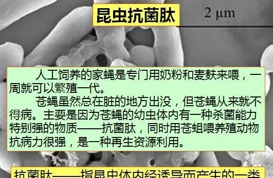 冬棚养殖南美白对虾需要加强这几点，你知道吗？