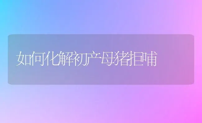 如何化解初产母猪拒哺 | 家畜养殖