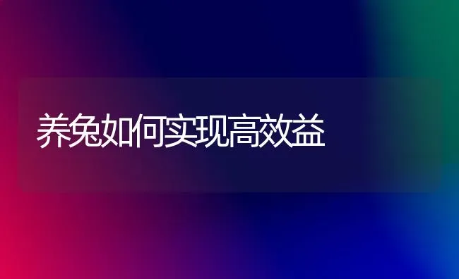 养兔如何实现高效益 | 家畜养殖