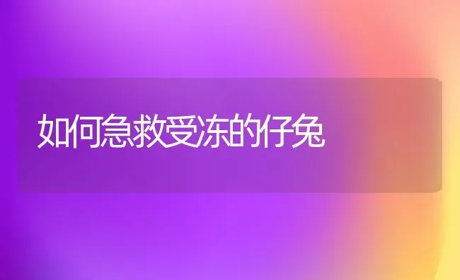 如何急救受冻的仔兔 | 家畜养殖
