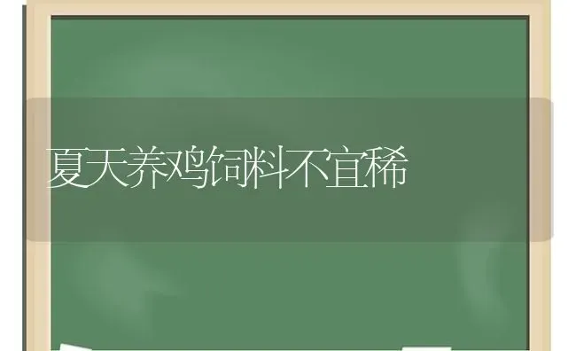 夏天养鸡饲料不宜稀 | 家禽养殖