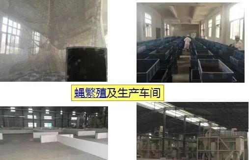 冬棚养殖南美白对虾需要加强这几点，你知道吗？