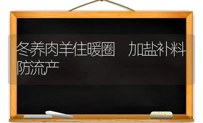 冬养肉羊住暖圈　加盐补料防流产 | 家畜养殖