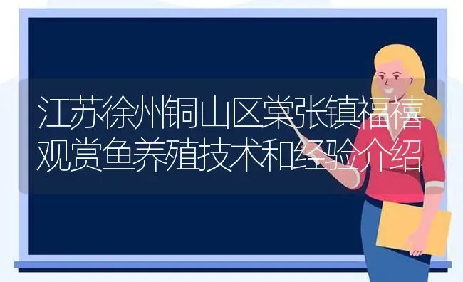 江苏徐州铜山区棠张镇福禧观赏鱼养殖技术和经验介绍 | 动物养殖百科