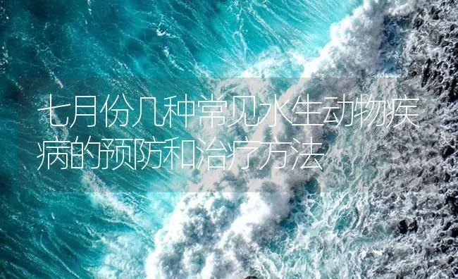 七月份几种常见水生动物疾病的预防和治疗方法 | 养殖病虫害防治