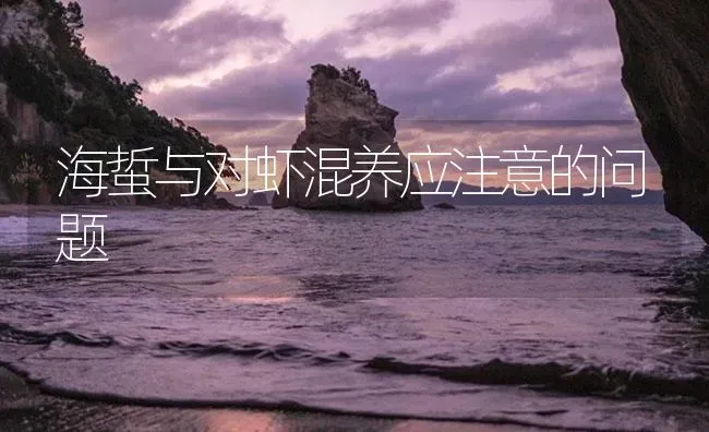 海蜇与对虾混养应注意的问题 | 海水养殖