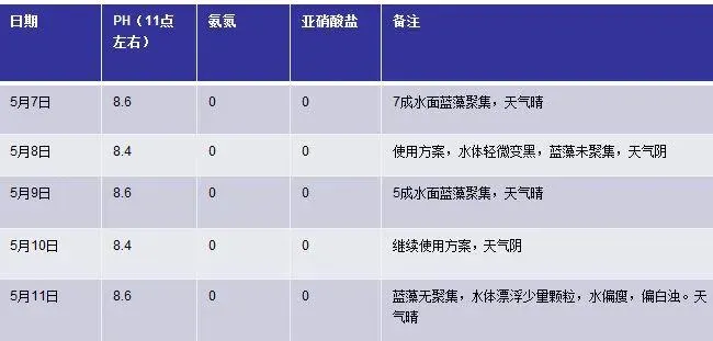 虾多宝治理南美白对虾塘蓝藻效果分享