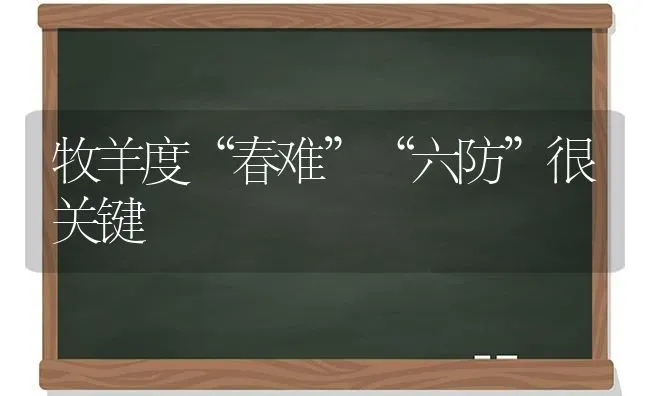 牧羊度“春难”“六防”很关键 | 家畜养殖