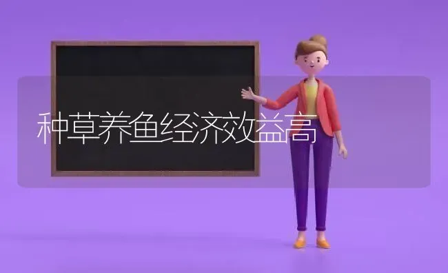 种草养鱼经济效益高 | 淡水养殖