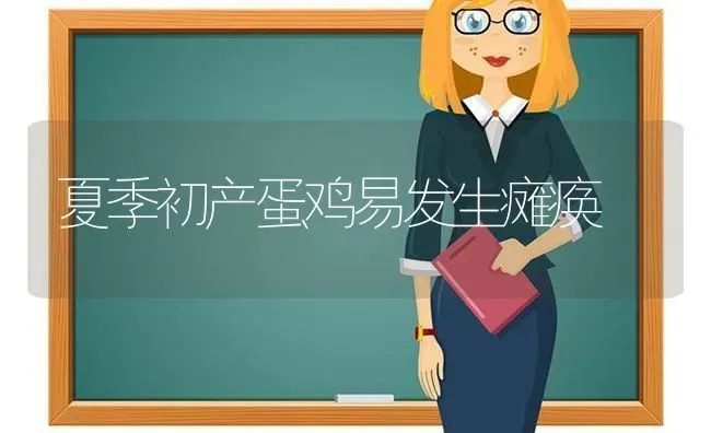 夏季初产蛋鸡易发生瘫痪 | 家禽养殖