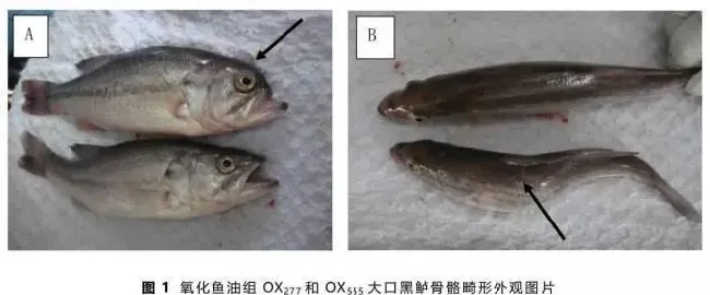 氧化鱼油对大口黑鲈幼鱼生长、血液生化指标、肝脏抗氧化防御和肝组织结构的影响